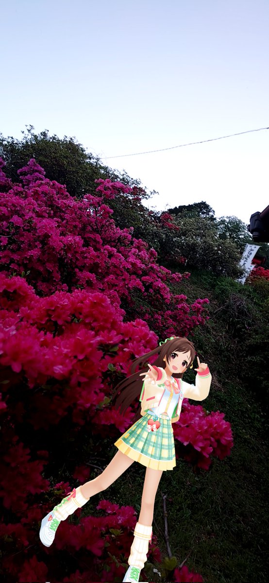 ひむち_DX🍎/きむち大福🦋 tweet media