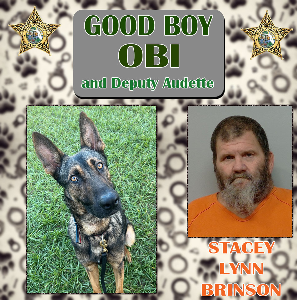 PolkCoSheriff's tweet image. Last night #WhileYouWereSleeping K9 Obi had a great catch.

Deputies responded to Denton Ave in Auburndale to a reported battery around 2 AM. The female victim was at Stacey Lynn Brinson's home helping him with cooking &amp;amp; cleaning due to him needing assistance. He responded to her