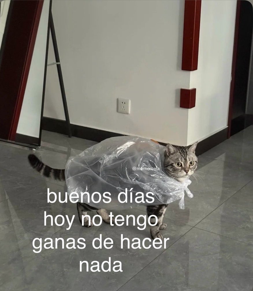 Buenos días!!