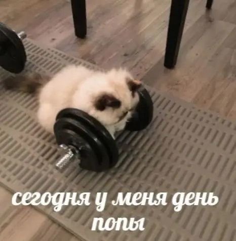 Lexa-Flexa tweet media