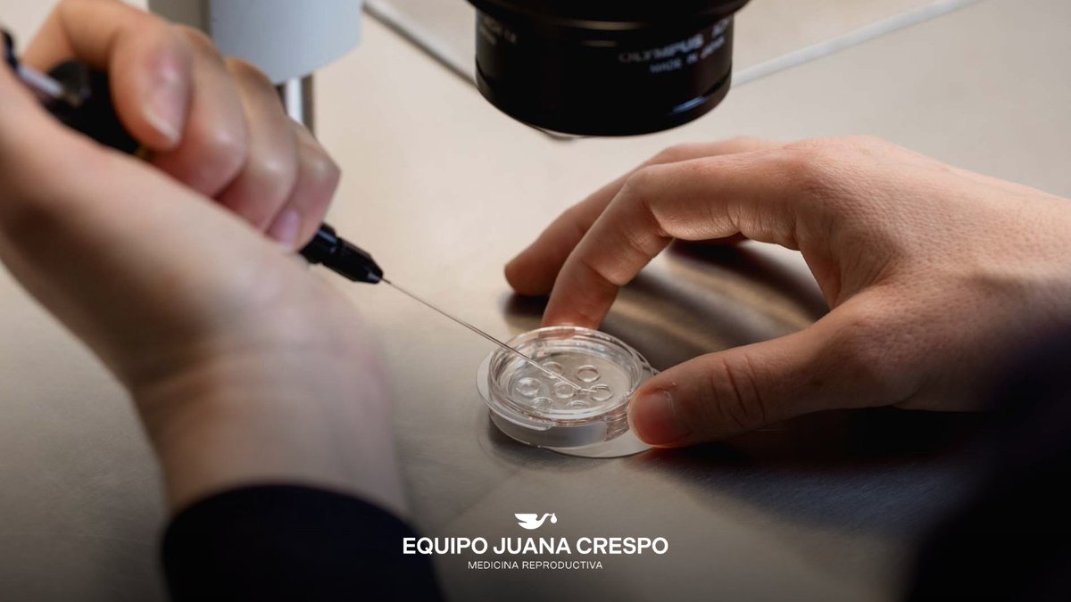 Equipo Juana Crespo tweet media