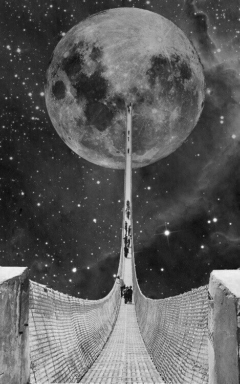 Kekius Maximus tweet media