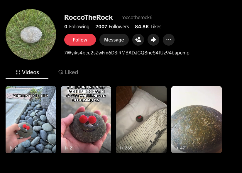 Rocco The Rock CTO (@RoccoTheRockCTO) / Posts / X