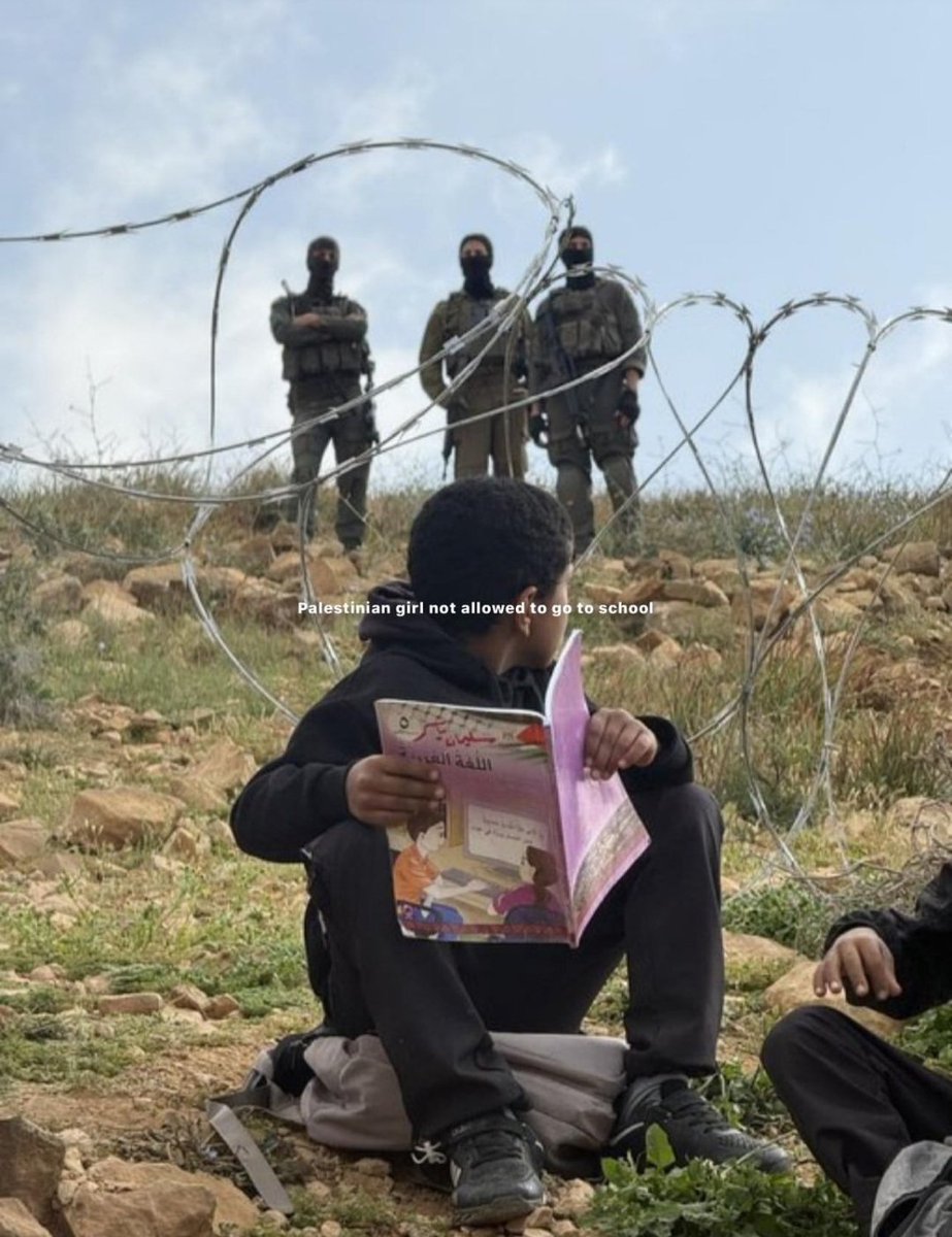 What a powerful picture.

Idf vs Palestinian girl.