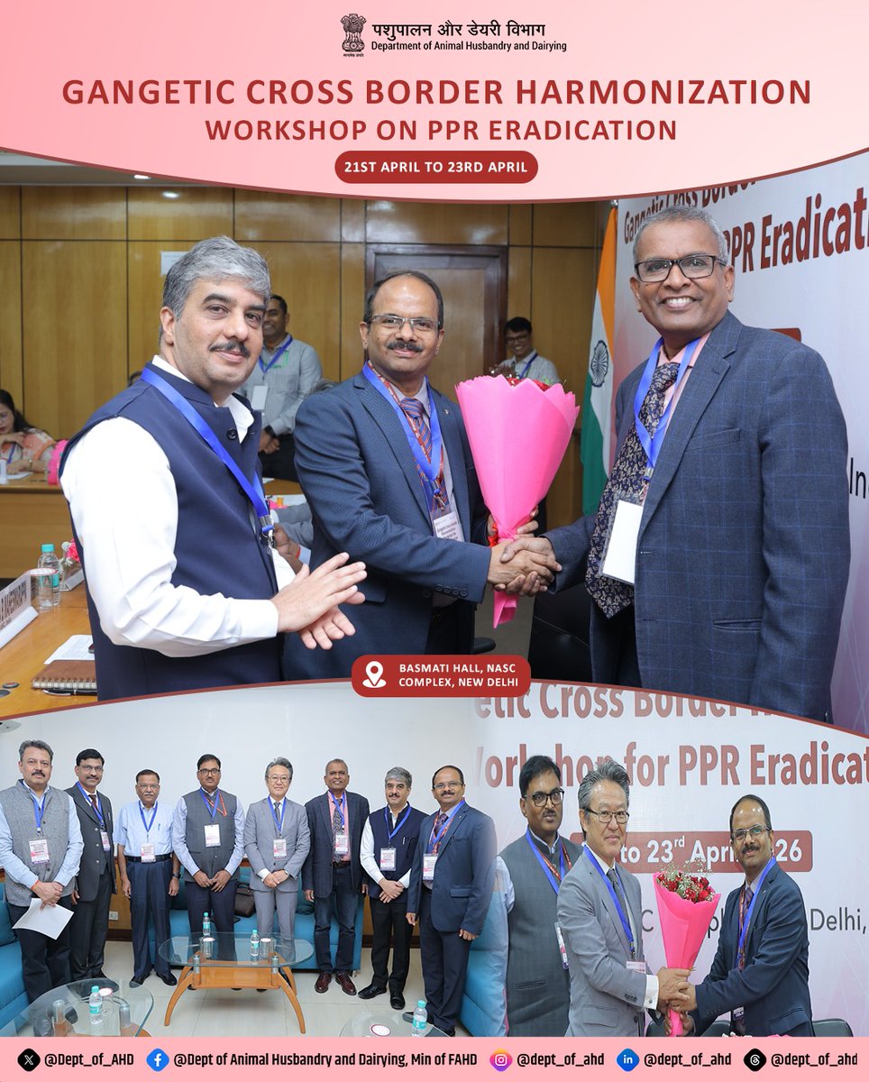 Dept_of_AHD's tweet photo. A three-day Gangetic Cross-Border Harmonization Workshop on PPR Eradication is being held from 21–23 April 2026 at Basmati Hall, NASC Complex, New Delhi.

The inaugural session was graced by Shri Rama Shankar Sinha, Additional Secretary (LH), Department of Animal Husbandry & Dairying, as the Chief Guest. The session was attended by Dr Naveena B. Maheswarappa, Animal Husbandry Commissioner, DAHD; Mr Takayuki Hagiwara FAO Representative to India; Dr Divakar Hemadri ICAR ; and Mr Tanvir Ahmad Torophder SAARC Secretariat.

#AnimalHealth #PPR #OneHealth
@LalanSingh_1 @spsinghbaghelpr @mygovindia @mopr_goi   @MoRD_GoI @NDDB_Coop @PIB_India @MIB_India