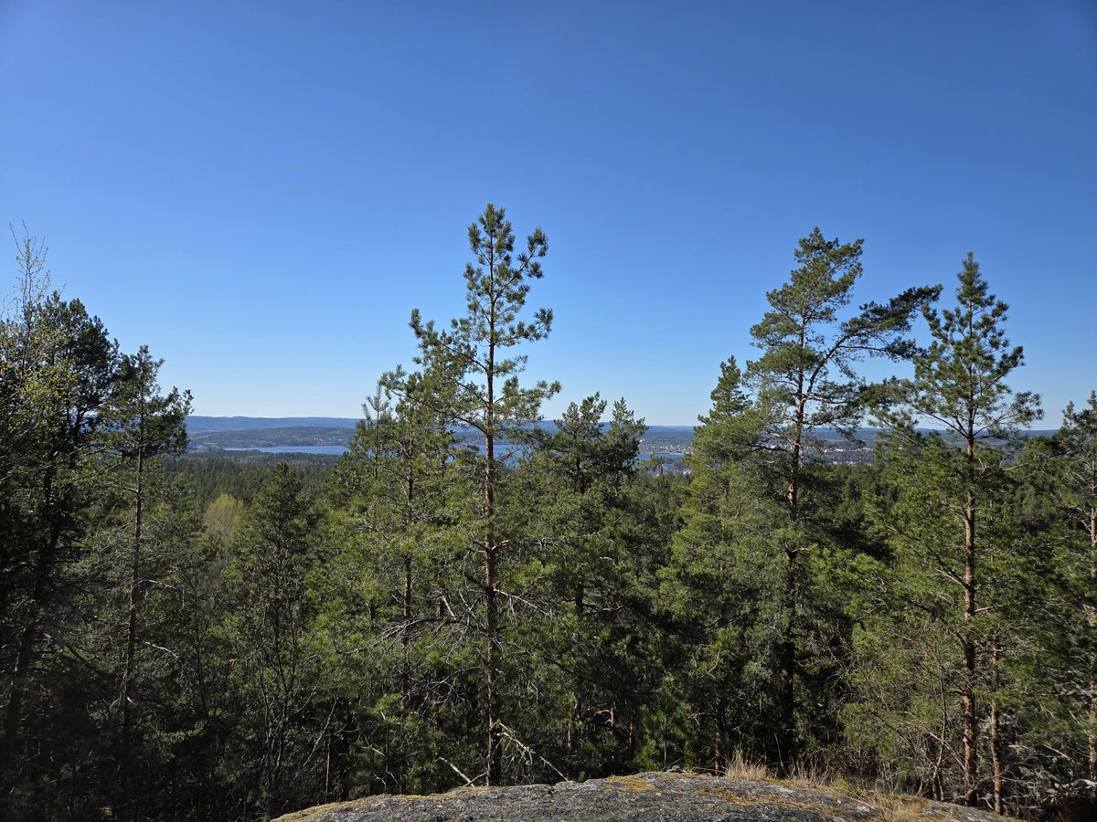 🤗นังฟารีดาย์​ ณ​ สวี-หลังสวน​ 🌱🌼 tweet media