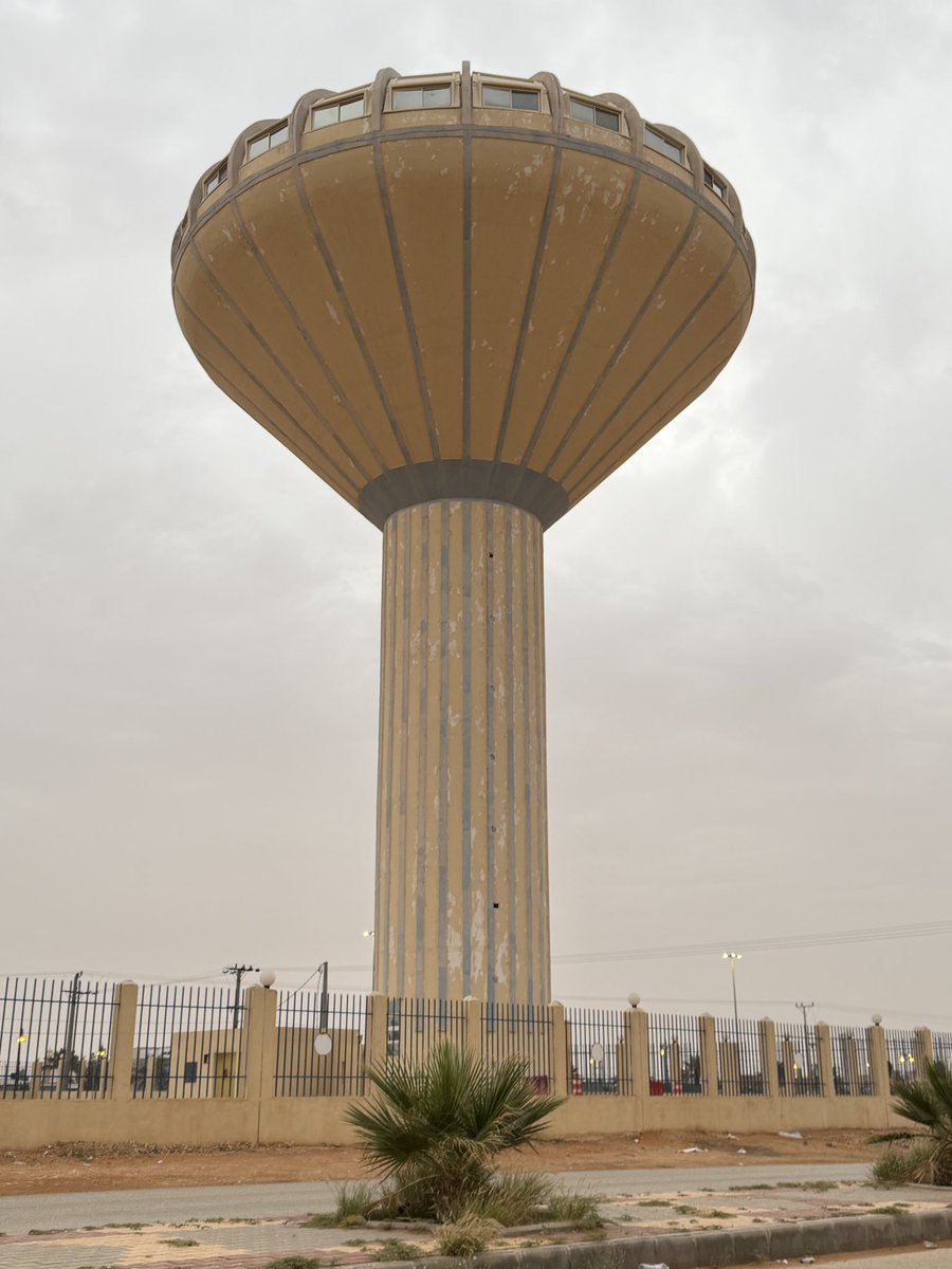 محمد البدر tweet media
