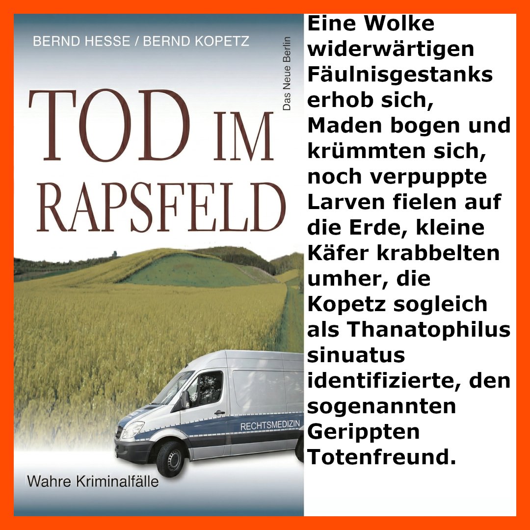 Eulenspiegel Verlagsgruppe Buchverlage tweet media