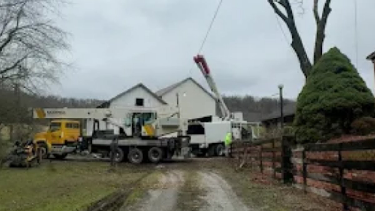 Solid Oak Tree Service tweet media