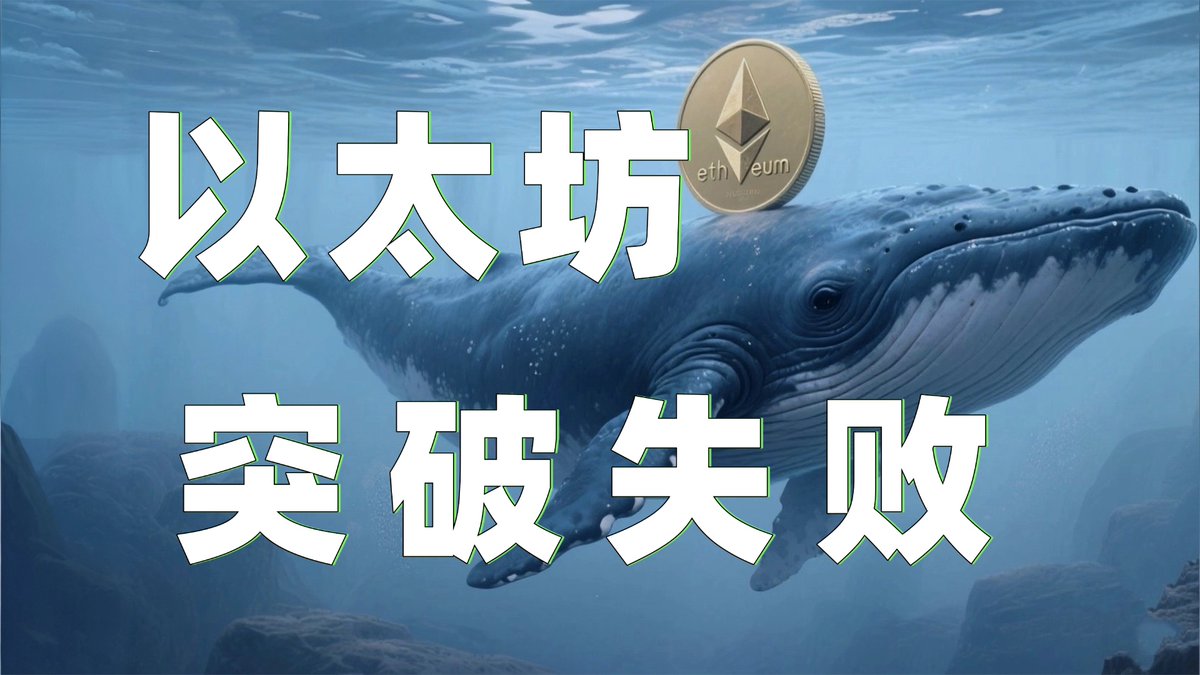 比特币飞扬 tweet media