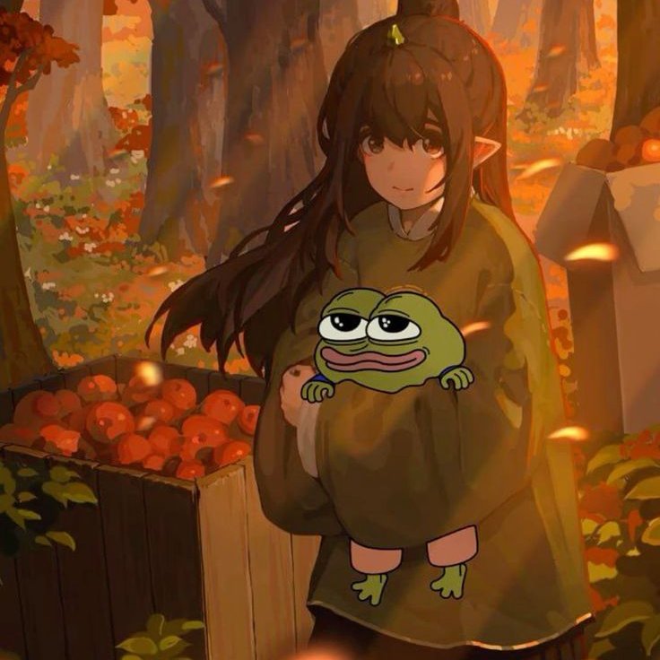 Poulpe 🐙 tweet media