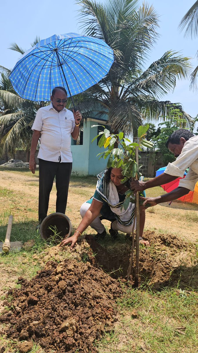 sofiarachel7's tweet image. Planted a sapling for my birthday
#GreenWarrior #Conservation #Nature #PlantTrees #SaveEarth #OurPlanet #Oxygen #Ozone #Earth #EcoFriendly #Recycle #Globe #GlobalWarming #Seeds #Saplings #Planet #Perinbam #SofiaRachel #Soil #Pollution #சோபியா_ரேச்சல் #SofiaAnbuchezian #பேரின்பம்