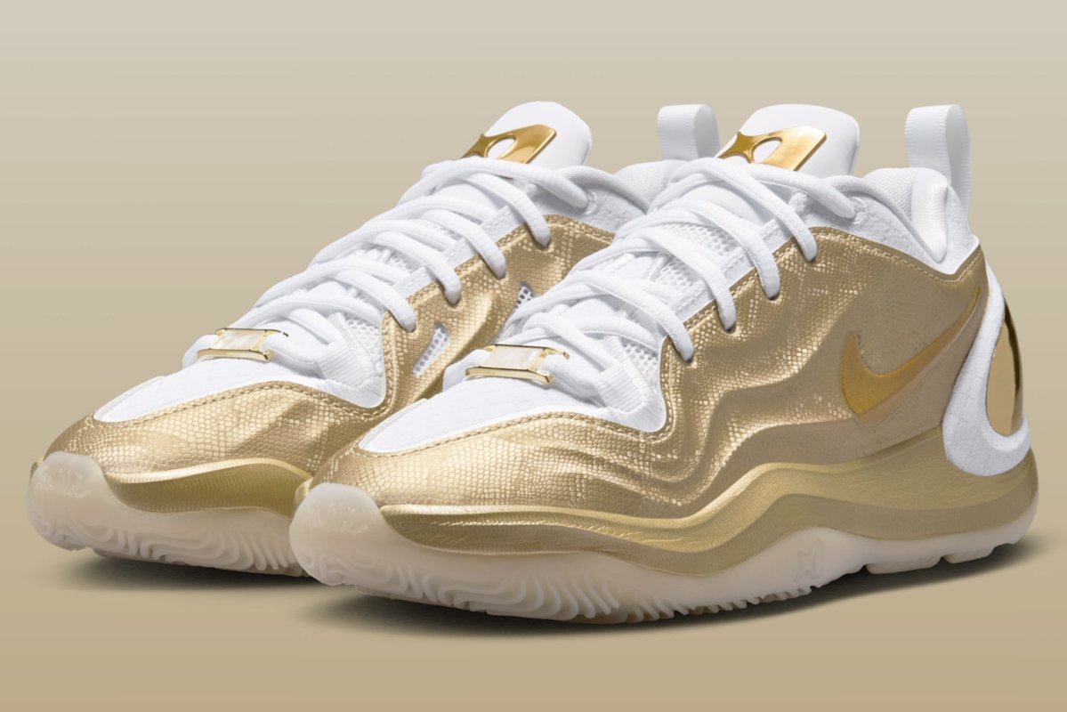 Sole Retriever tweet media