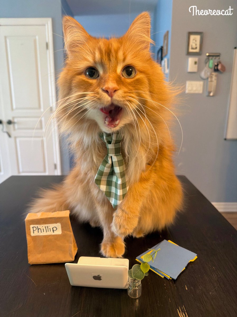 The Oreo Cat tweet media