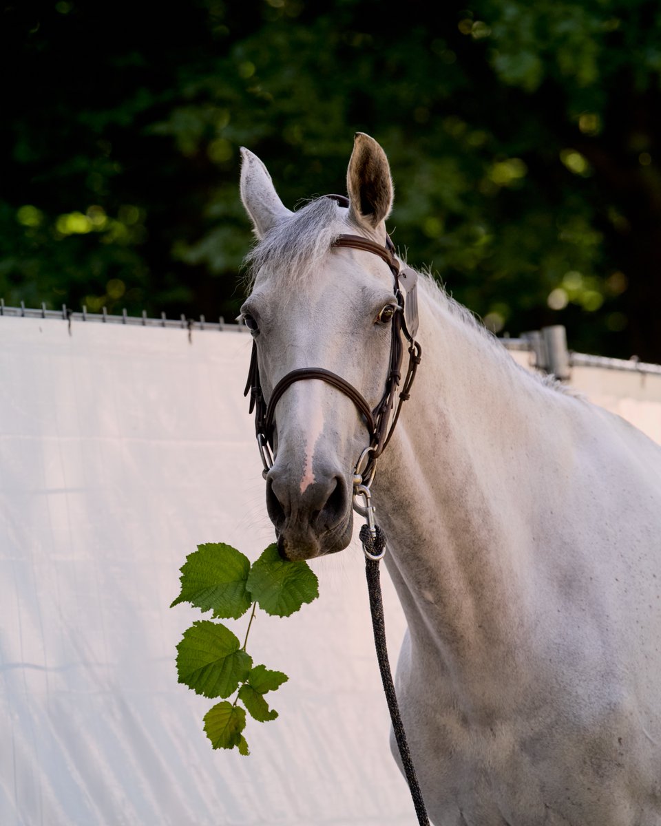 Longines League of Nations tweet media