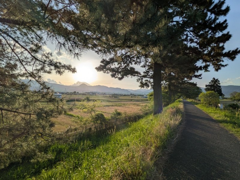 清水ゆき　開成町議会議員 tweet media