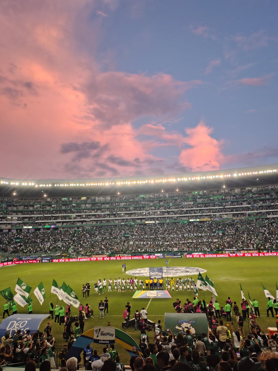 Germán Salcedo C. tweet media