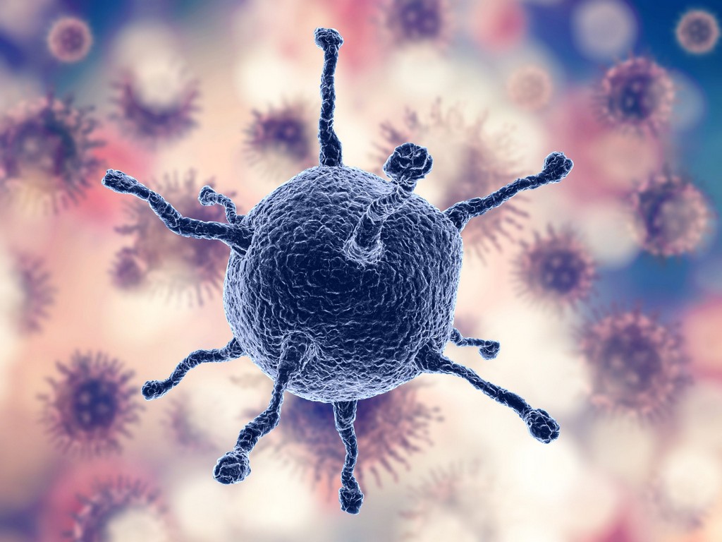 Dr. Sosa tweet media