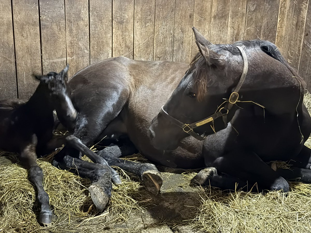 Britt Wadsworth tweet media