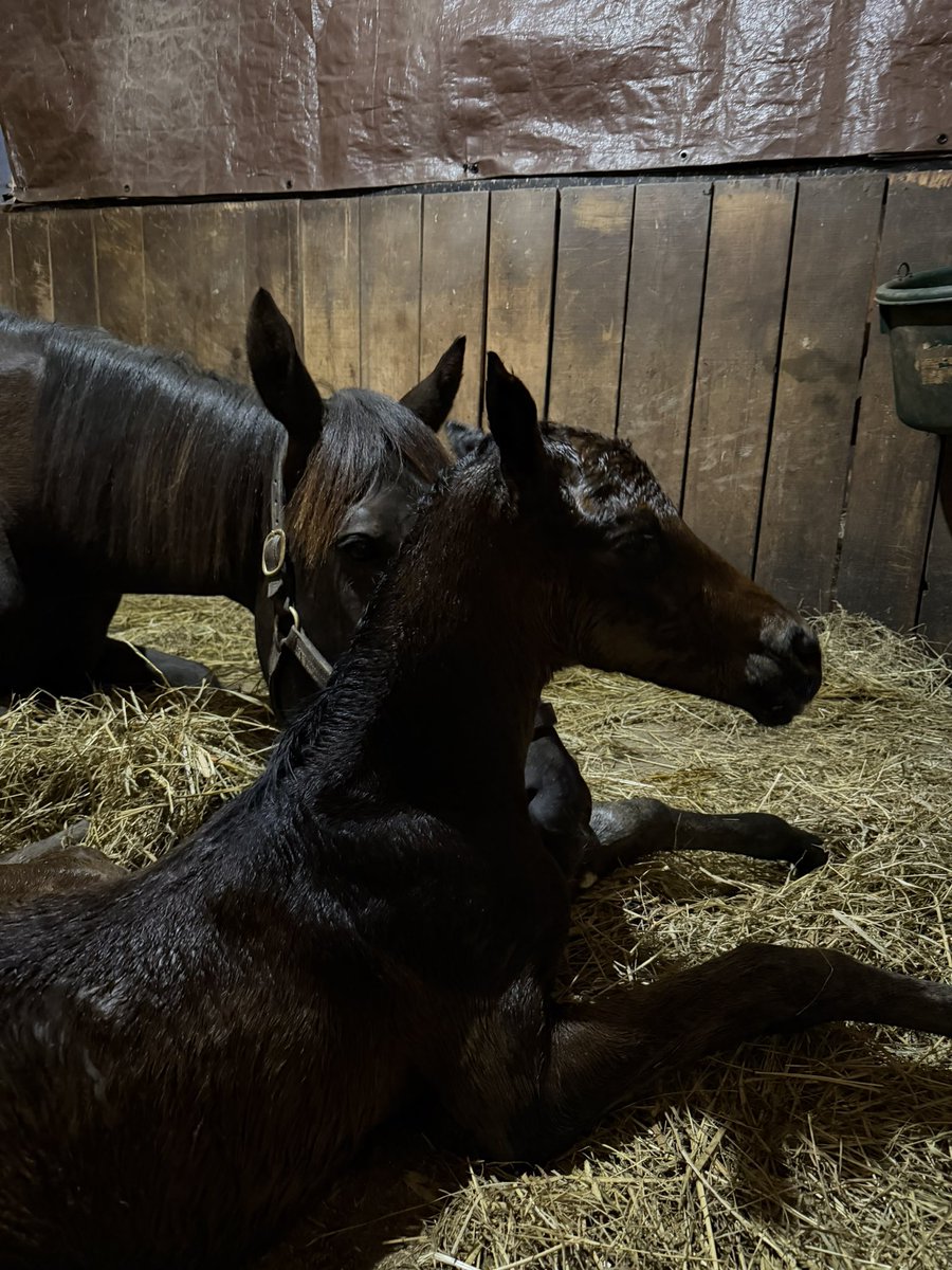 Britt Wadsworth tweet media