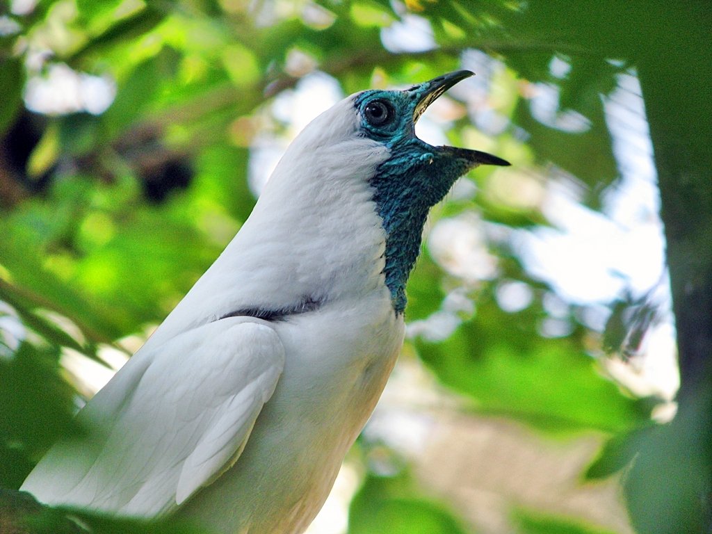 DR. PAULO FARIA tweet media