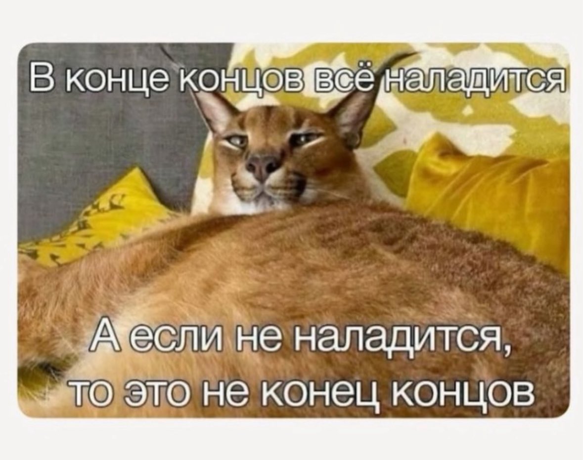 моё ментальное состояние сейчас находится между вот этими двумя картинками