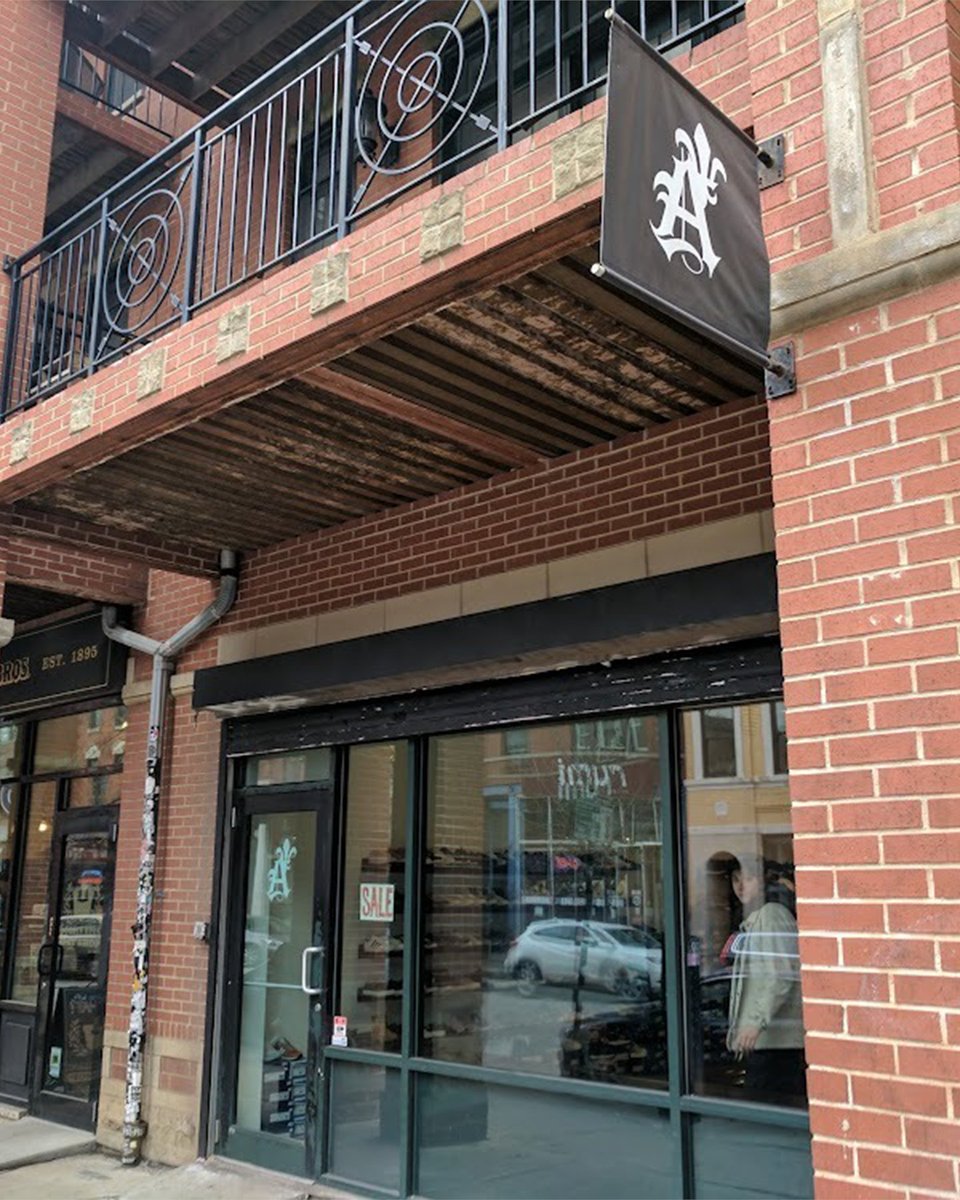 Modern Notoriety tweet media