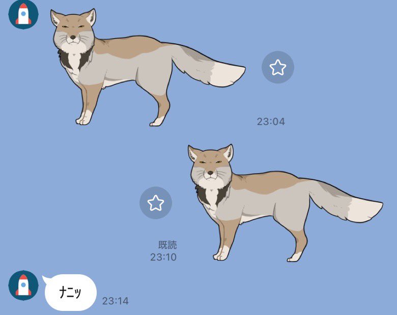 柏木明日香 tweet media