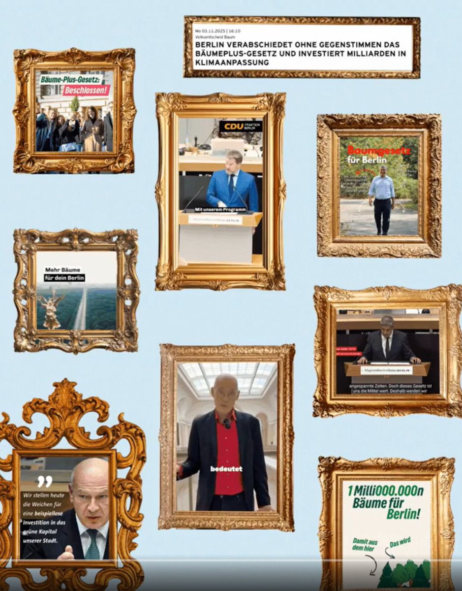 Baumentscheid tweet media