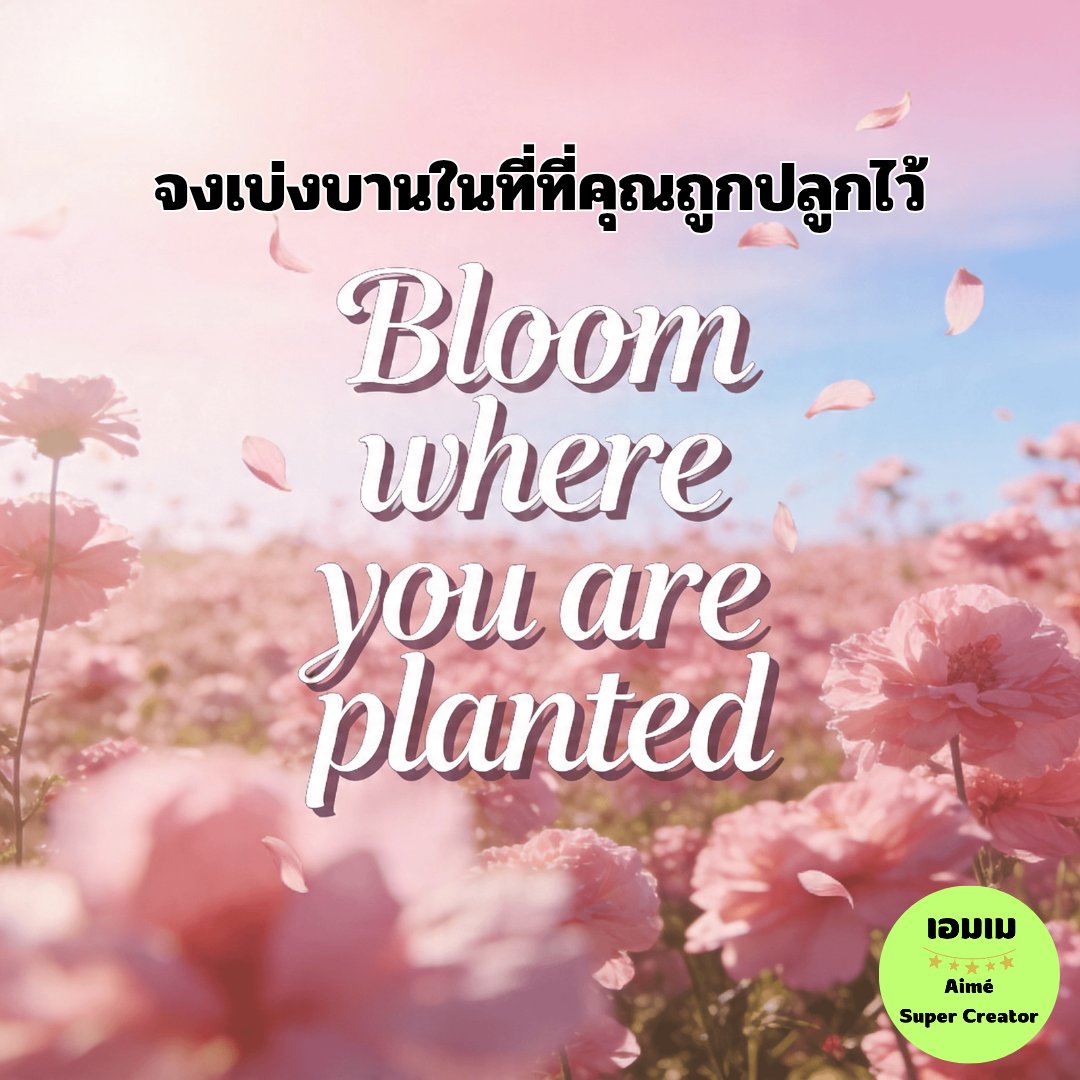 AimeSuperCreate's tweet image. จงเบ่งบาน 🌸

#Aimé
#Super
#Creator 
#แบ่งปันสิ่งดีๆ
#เบ่งบาน
#Bloom
#2026SuperWealthy
#พลังสร้างสรรค์
#รักตัวเอง
#ความคิดสร้างสรรค์
#ใจเป็นสุข
#feelgood
#happyeveryday
#haveagoodday
#ความรัก
#ความสุข
#love
#happiness