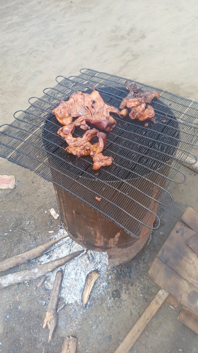 Z buta dookoła Świata tweet media