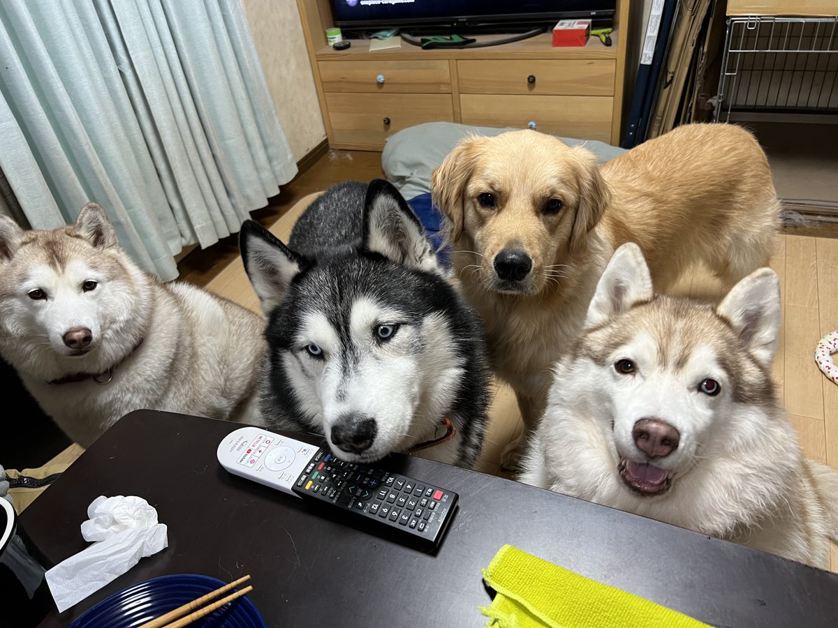 いざや tweet media