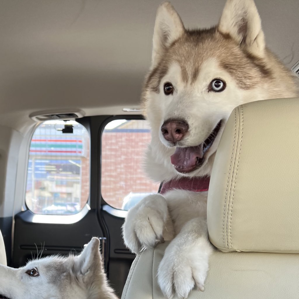 いざや tweet media