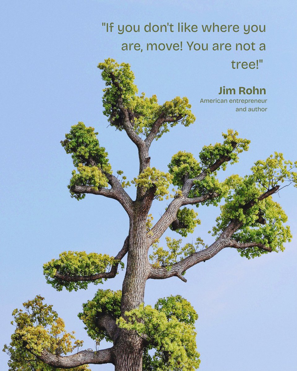 YourSWFLLife's tweet image. You have the power to change your path, shift your mindset, and choose a new direction. Don’t stay stuck — take the step. Your future is waiting. 🌱✨

#motivation #motivationalquote #positivity #inspirational #mindsetmatters #takeaction #growthmindset