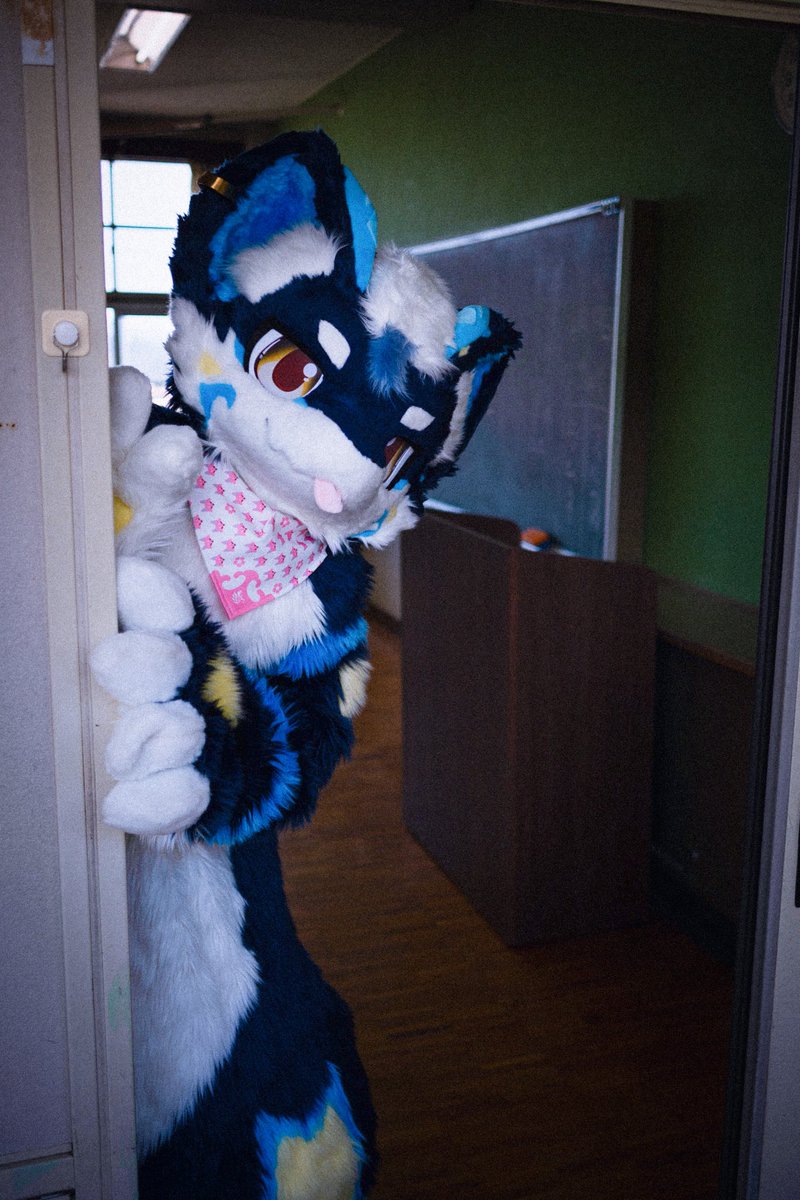 まつぼっこり🍤 tweet media