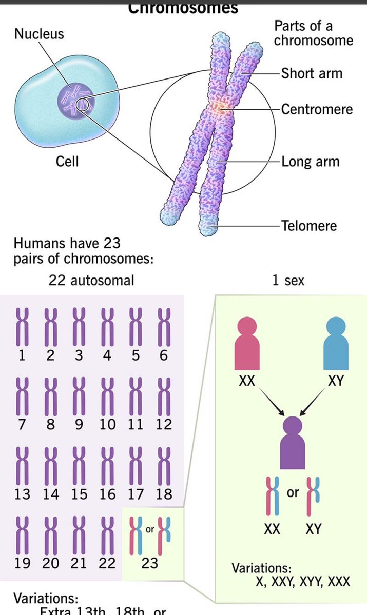 Reliving Moment tweet media