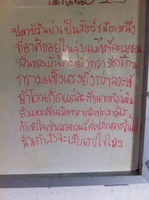 รีวิวกระดาษคำตอบของเด็กชายก้องภพวันนี้