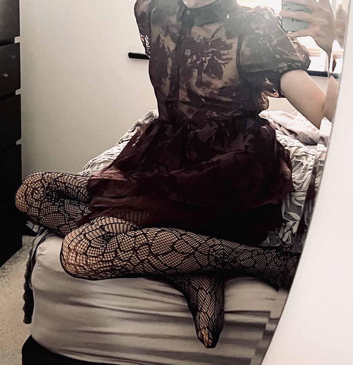 Terra 🦖 tweet media