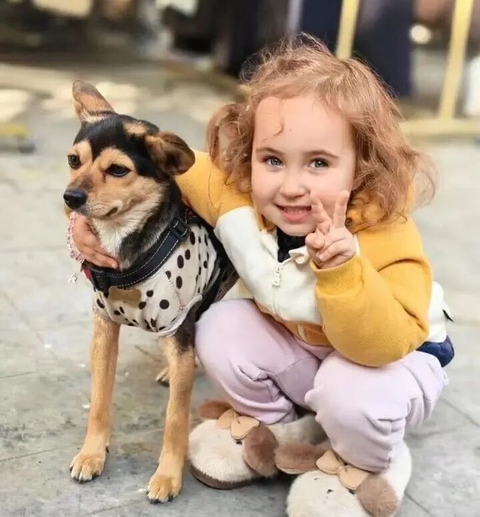 Creepy.org tweet media