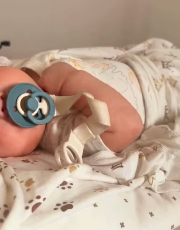 Noor_alhoda tweet media