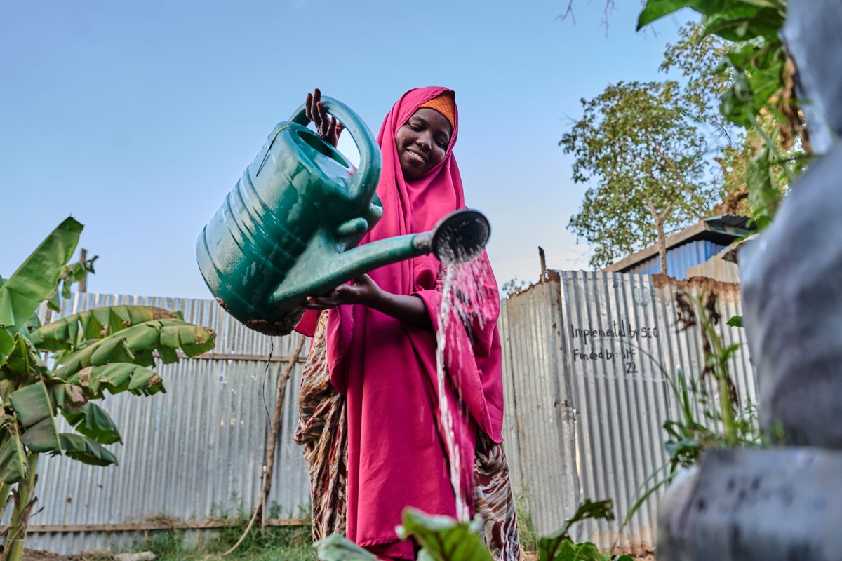 UN-Water tweet media