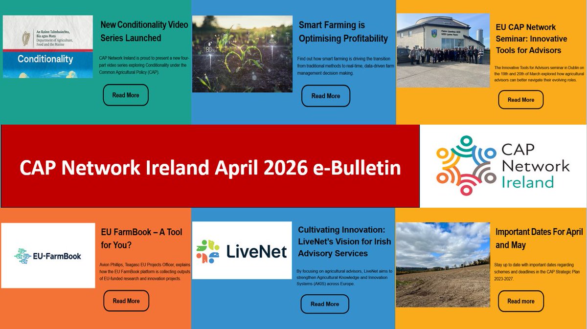 CAP Network Ireland tweet media