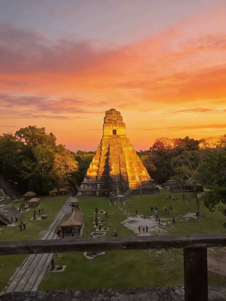 El Siglo tweet media