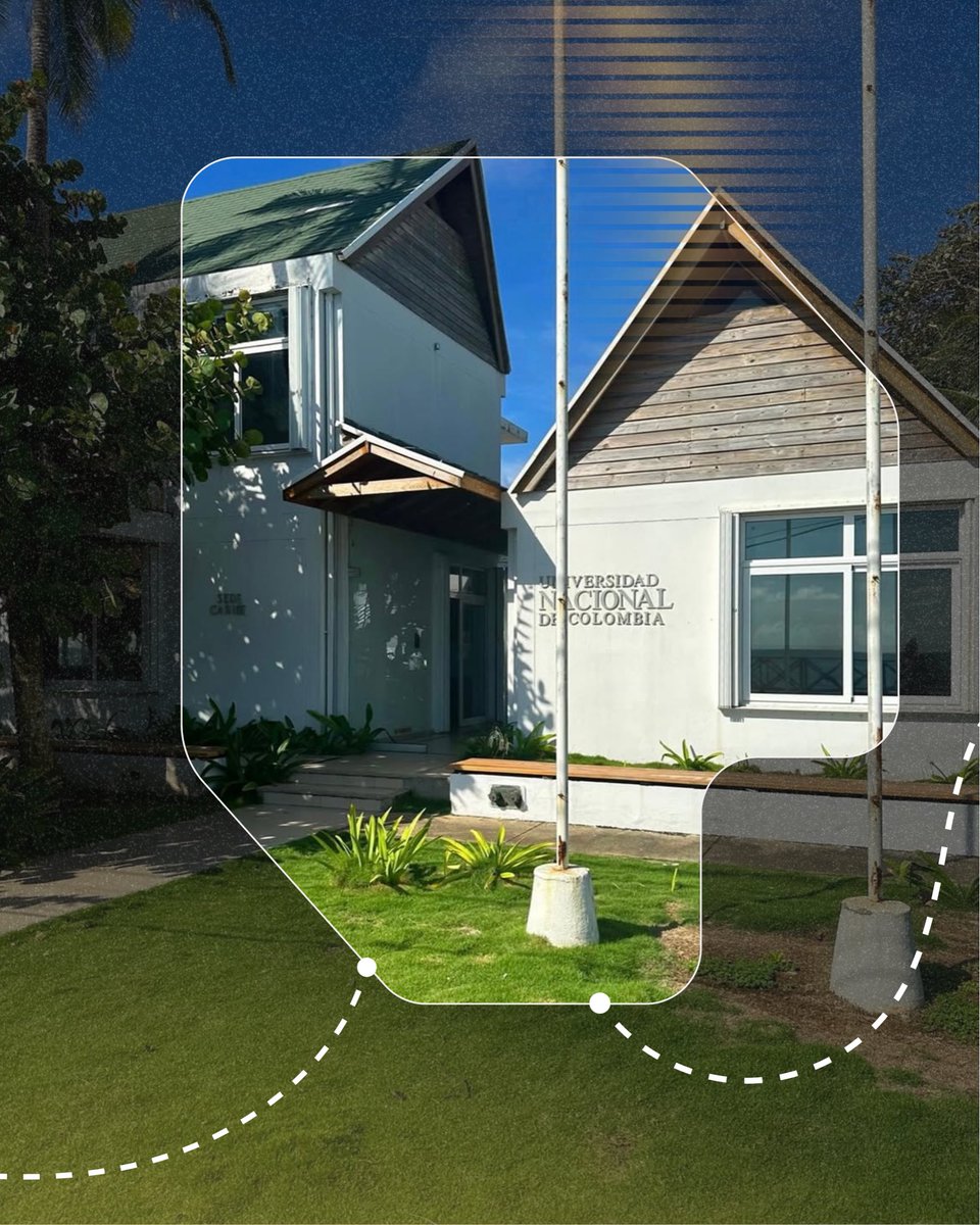 Dirección Nacional de Estrategia Digital - UNAL tweet media