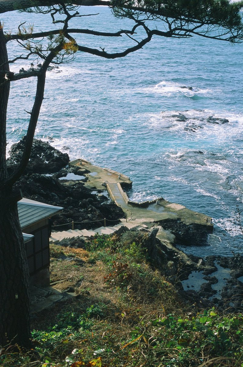 ユキゴマ tweet media