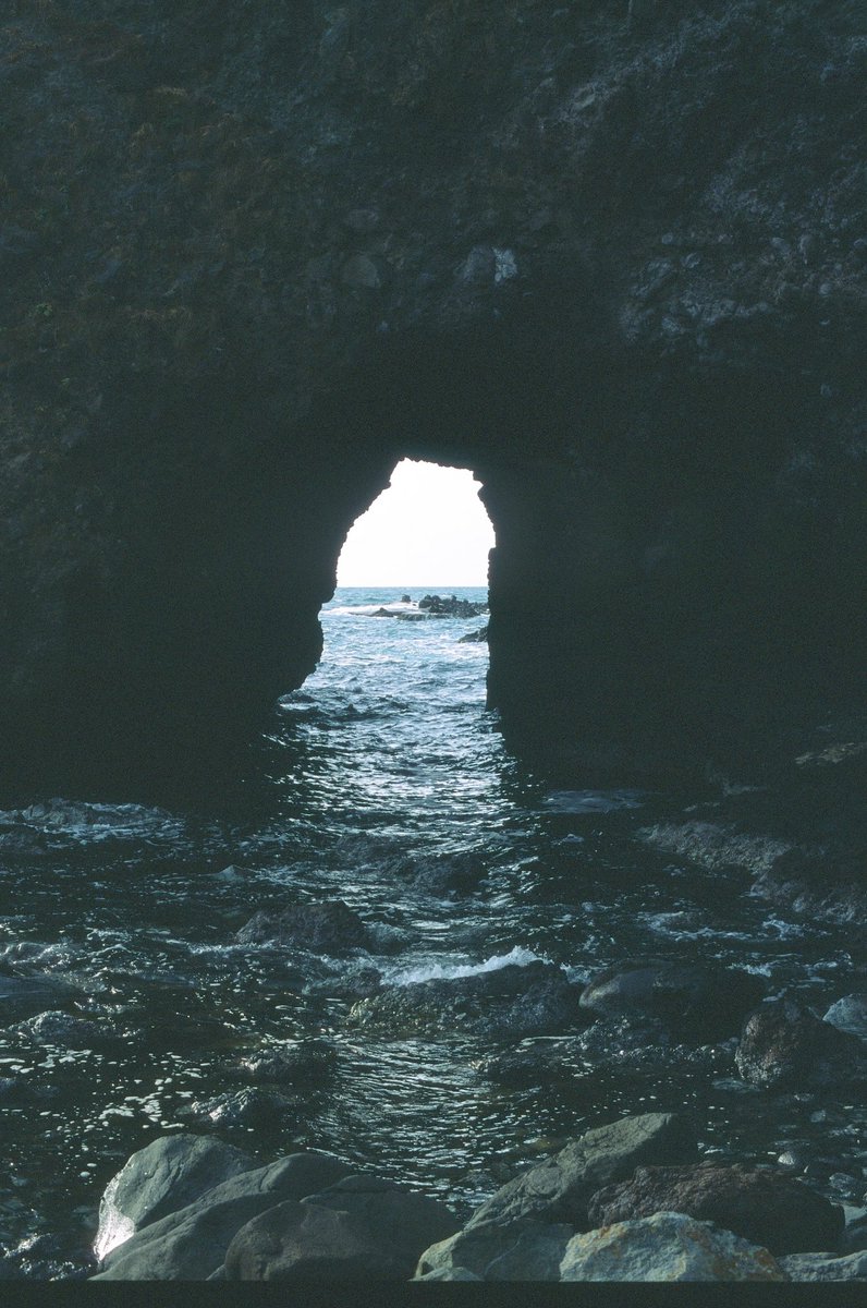 ユキゴマ tweet media