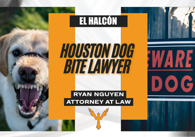 AbogadoRyanEsq's tweet image. A Houston dog bite lawyer explains what to do after a serious dog bite. Speak with Ryan Nguyen for FREE. Pay NOTHING unless we win! #Houston #Injury #Lawyer bit.ly/4u0AmfY