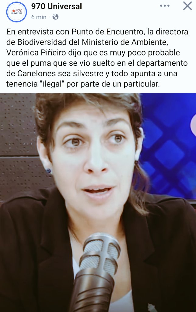 Silvana De Francesco tweet media