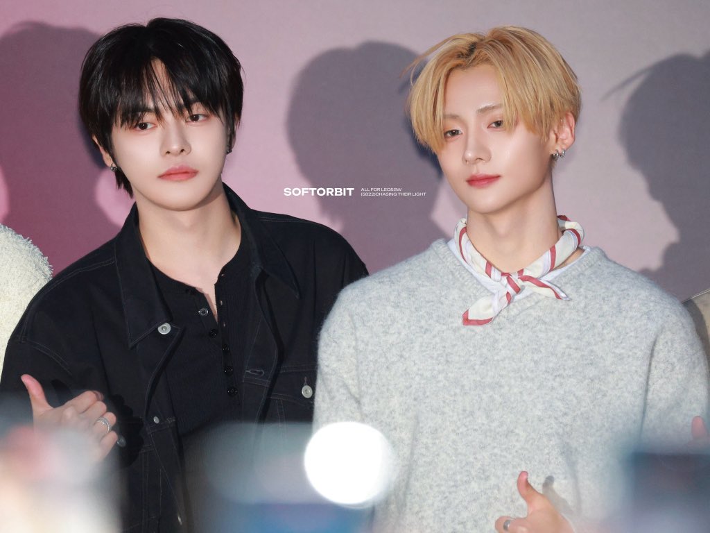 SoftOrbit5822 tweet media