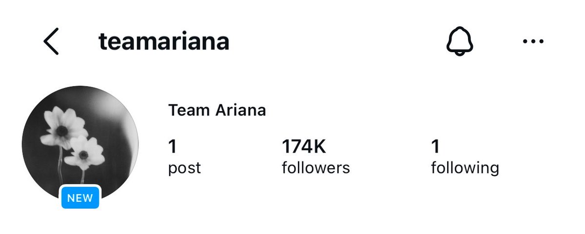 momo 📮 tweet media